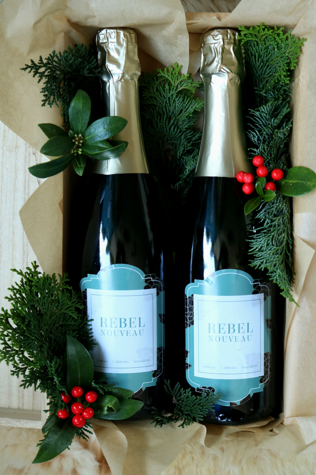 Rebel Nouveau Rebel Nouveau